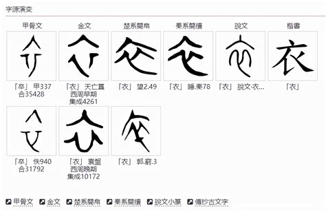 披彩衣意思|什么叫彩衣字？彩衣字形的字有哪些？带有彩衣字根部。